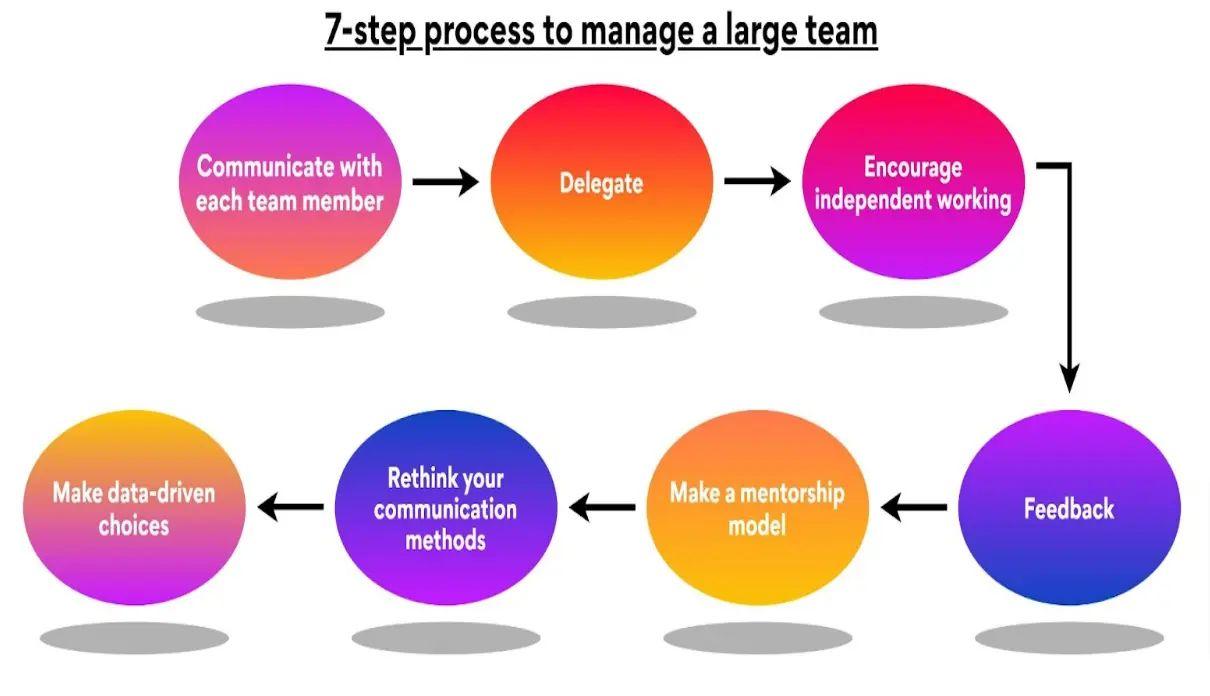 7-step process to manage a large team