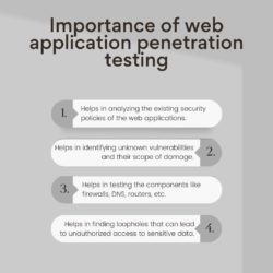 Web application penetration testing