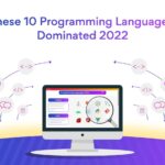 Programming Languages Overview: These Languages Dominated 2022