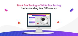 Black box testing vs white box testing