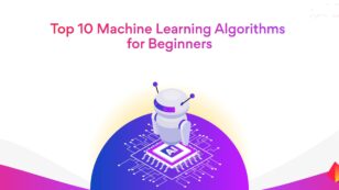 Top 10 Machine Learning Algorithms for Beginners